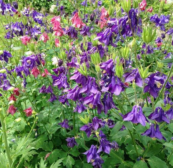 호텔 Richmond House Bed And Breakfast