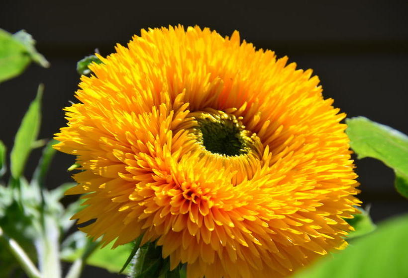 Отель Seasons Above The Bay Guest Suites And B&b