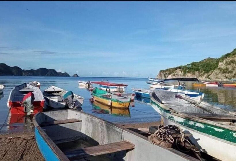 ホテル Taganga Dive Inn