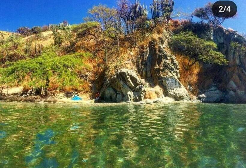 ホテル Taganga Dive Inn