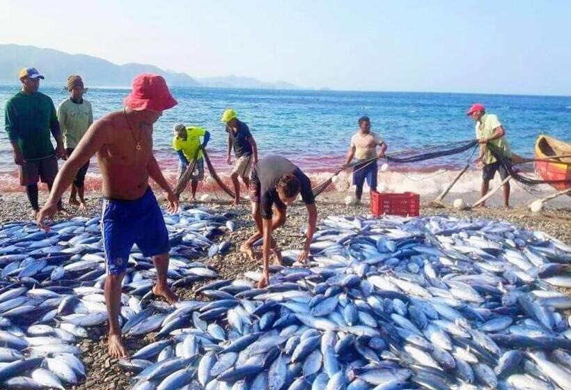 ホテル Taganga Dive Inn