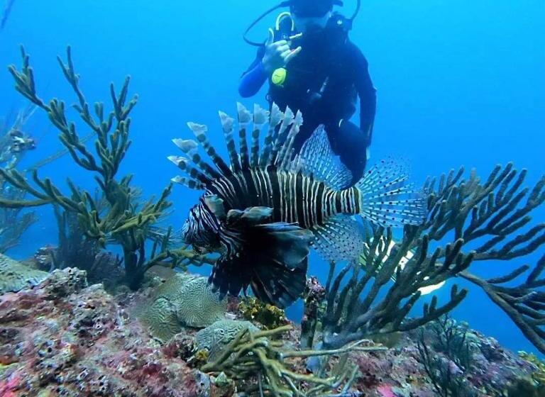 ホテル Taganga Dive Inn