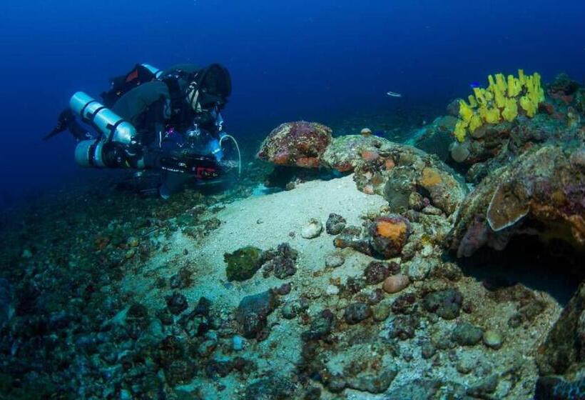 هتل Taganga Dive Inn