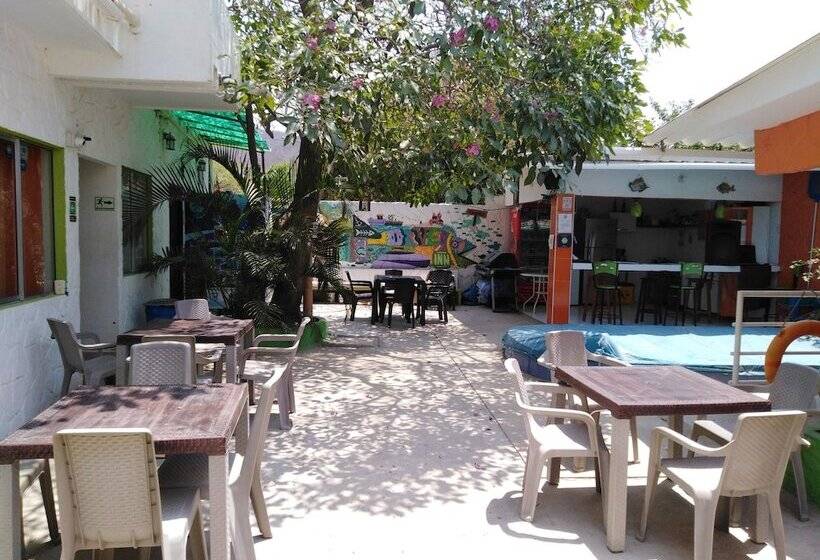 ホテル Taganga Dive Inn