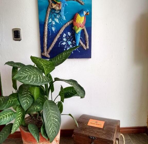 酒店 Tesoro Andino