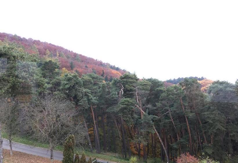 ホテル The Pines Boutique Villa