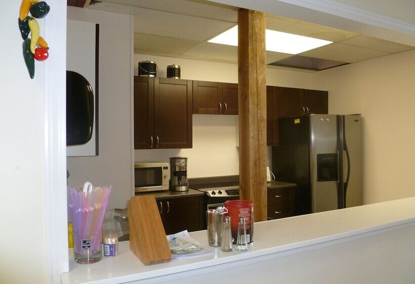 호텔 Vernon Hostel