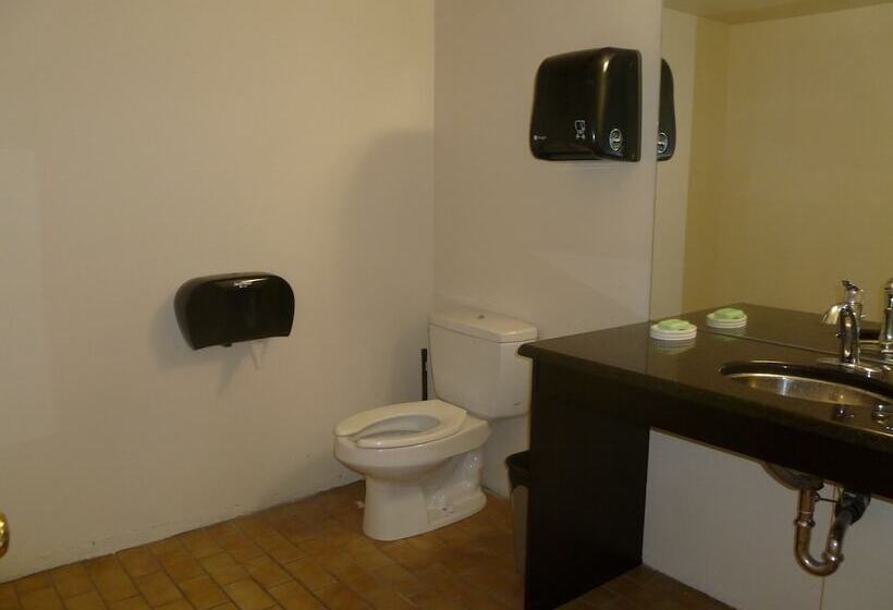 호텔 Vernon Hostel