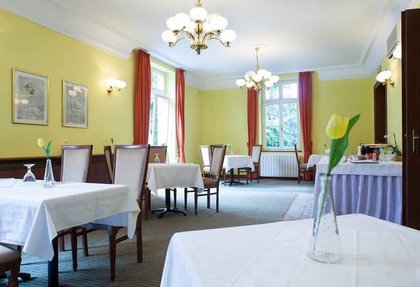 Retro Hotel Villa Ostrava