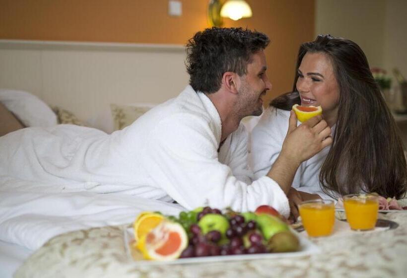 Spa Hotel čajkovskij