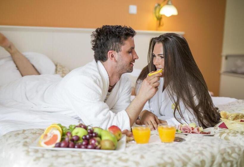 Spa Hotel čajkovskij