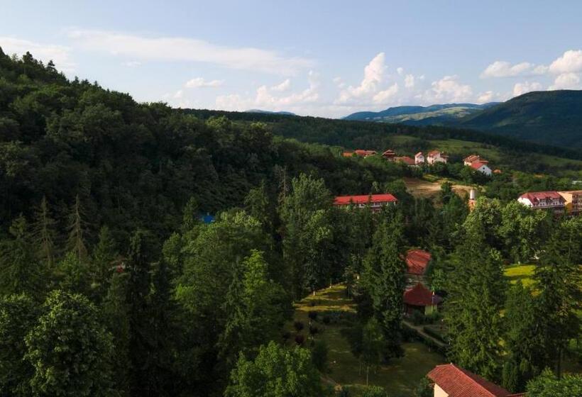 Aida Hotel Spa & Tratament