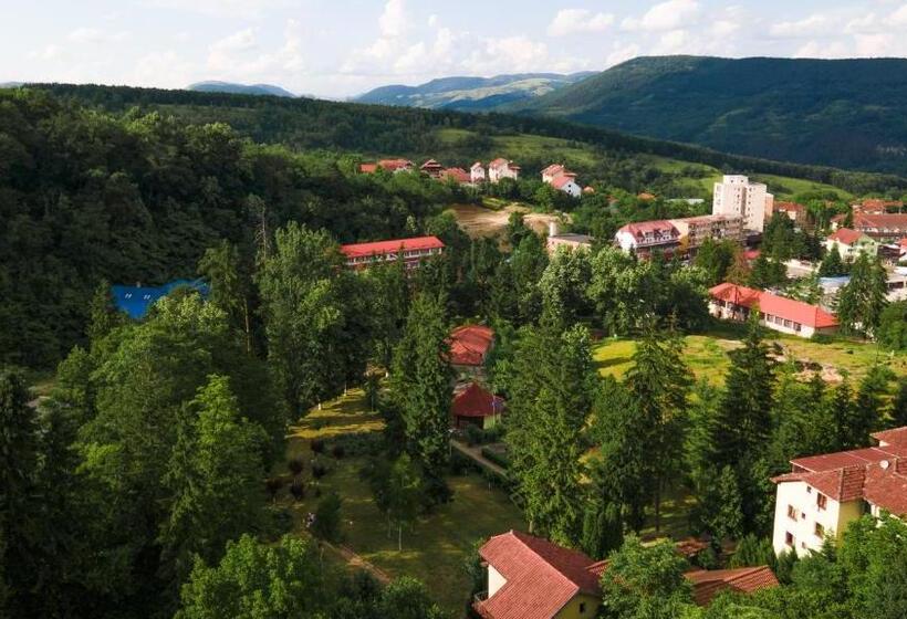 Aida Hotel Spa & Tratament