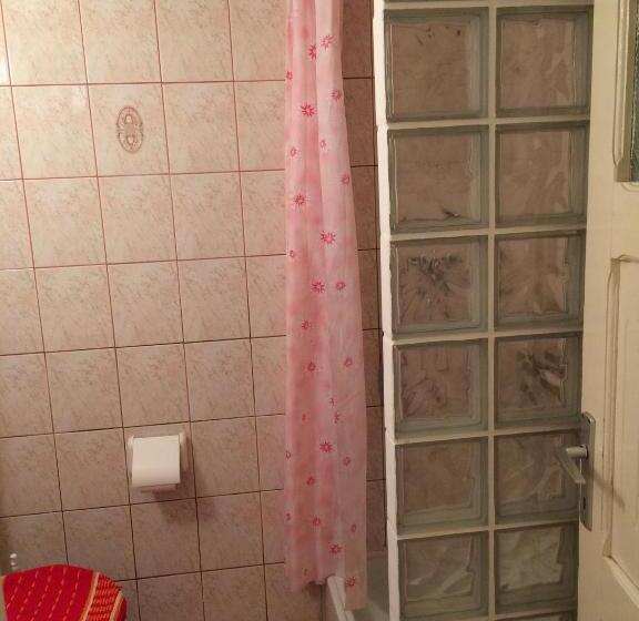 הוסטל Pension Casa Alba