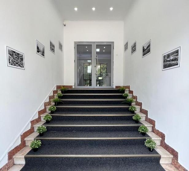 هاستل Tineretului