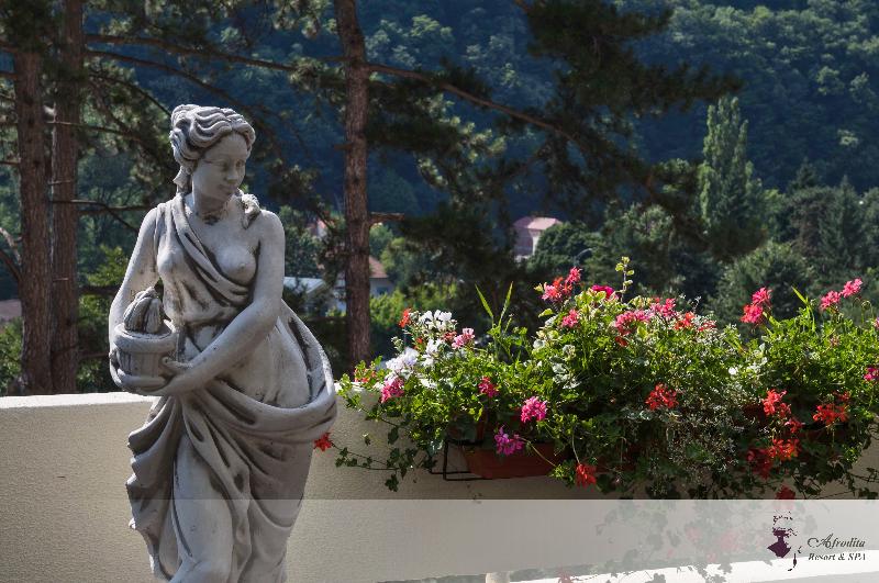 Bacolux Afrodita Resort & Spa, Herculane