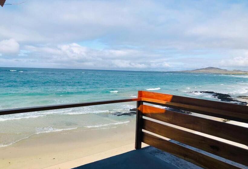 تختخواب و صبحانه Cormorant Beach House