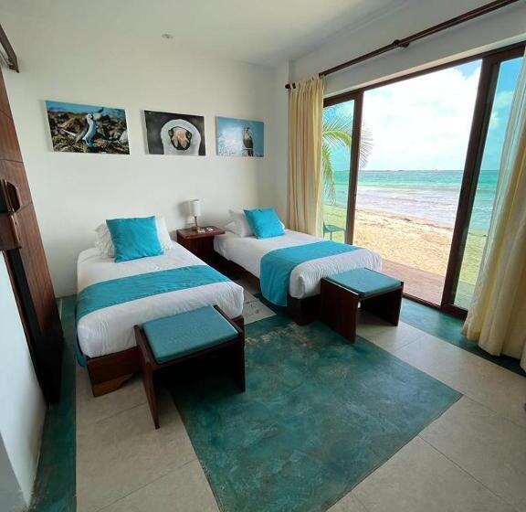 Bed and Breakfast Cormorant Beach House