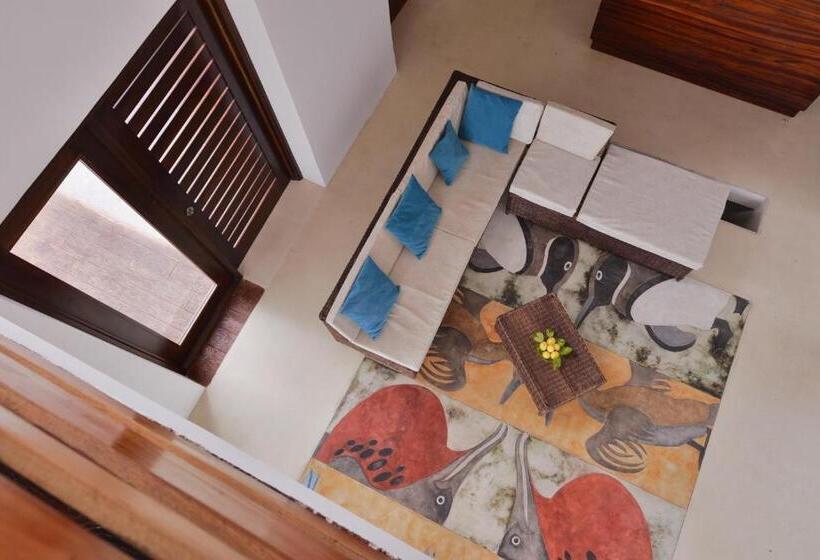 تختخواب و صبحانه Cormorant Beach House