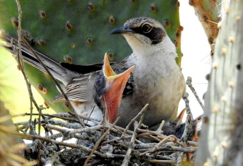Bed and Breakfast Cormorant Beach House