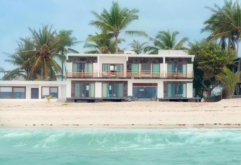 تختخواب و صبحانه Cormorant Beach House