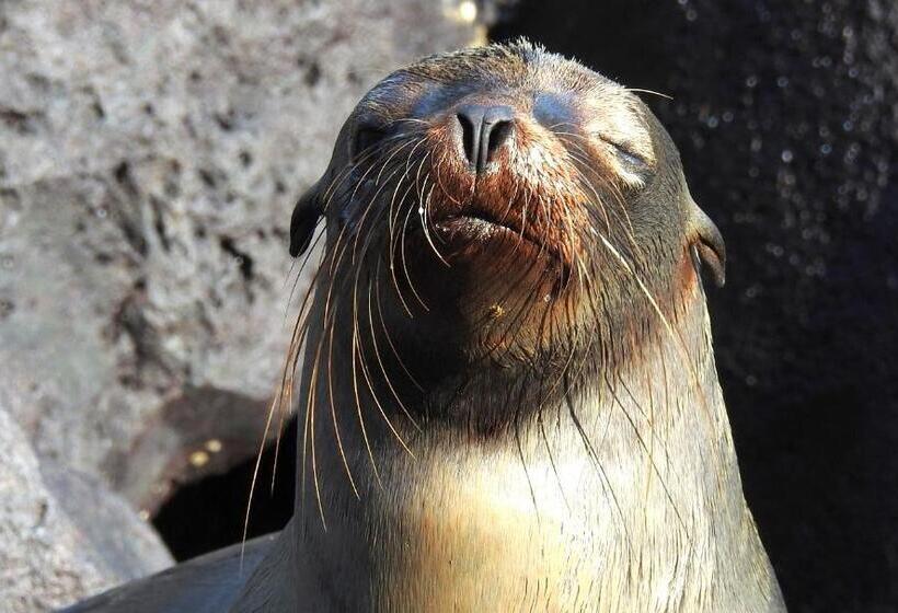 Bed and Breakfast Cormorant Beach House