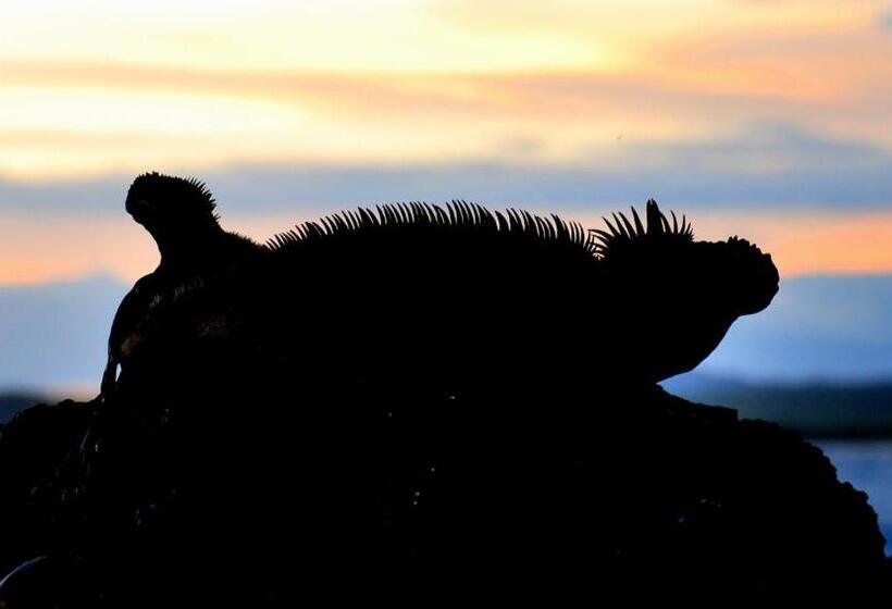 Bed and Breakfast Cormorant Beach House