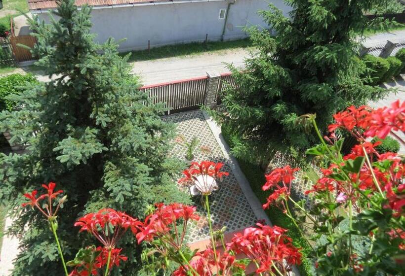 צימר Csaki Vendeghaz