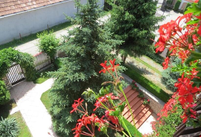 צימר Csaki Vendeghaz