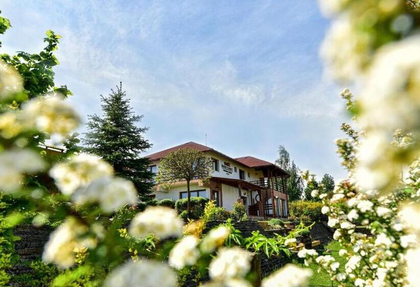 צימר Horizont Panzio