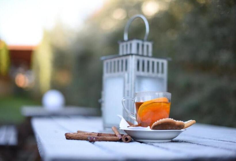 צימר Horizont Panzio