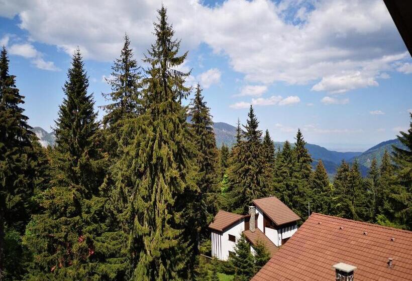 ベッドアンドブレックファースト Pension Montien Events & Society Resort