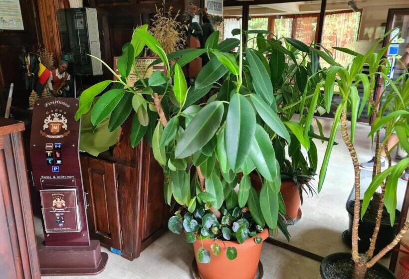 ベッドアンドブレックファースト Pension Montien Events & Society Resort