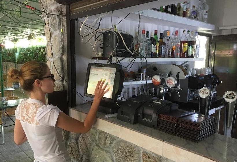 住宿加早餐  Paradox Movila