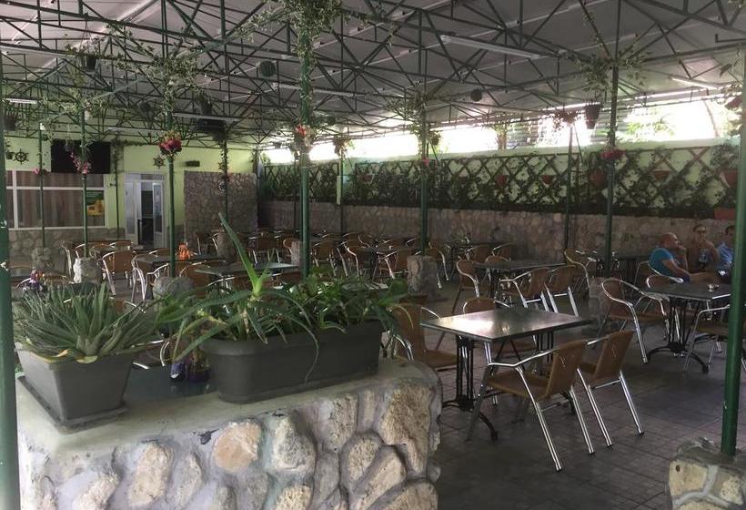 住宿加早餐  Paradox Movila