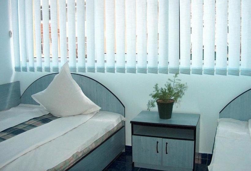 住宿加早餐  Paradox Movila