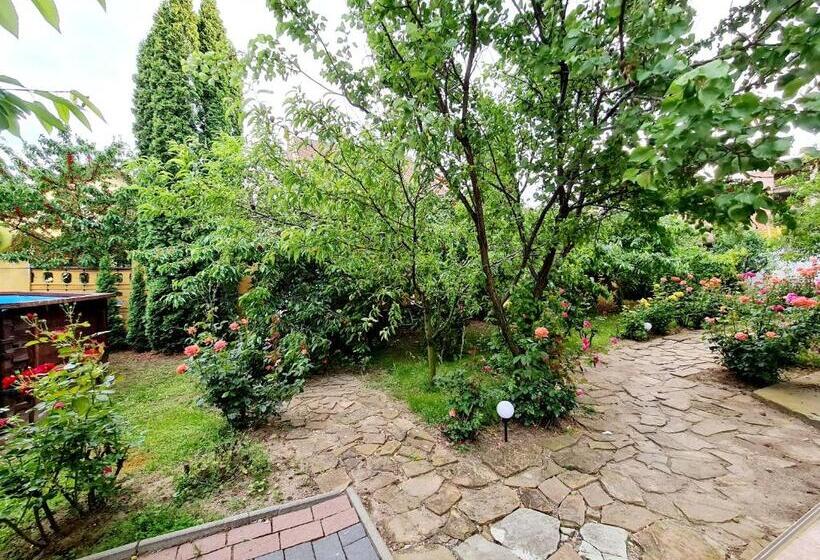 צימר Pension Terra