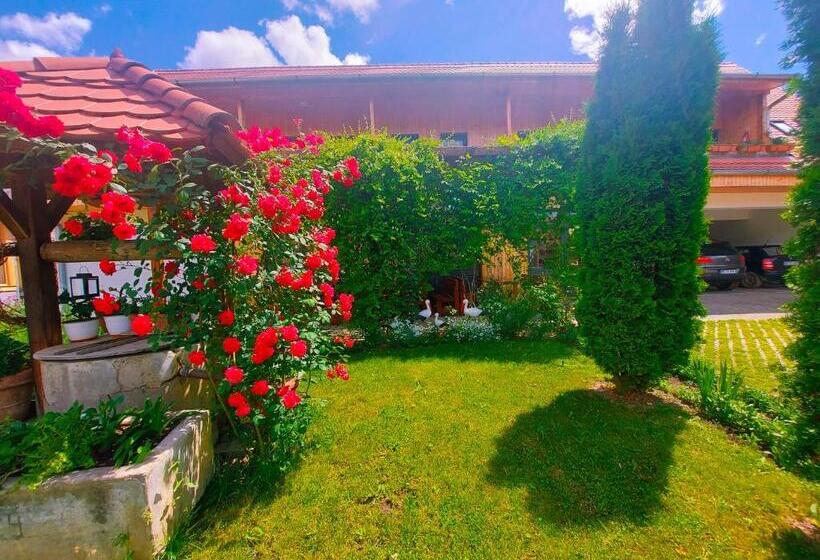 تختخواب و صبحانه Pensiunea Keisd