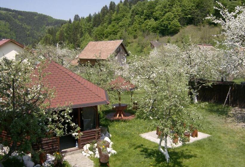 Bed and Breakfast Pensiunea Luminita