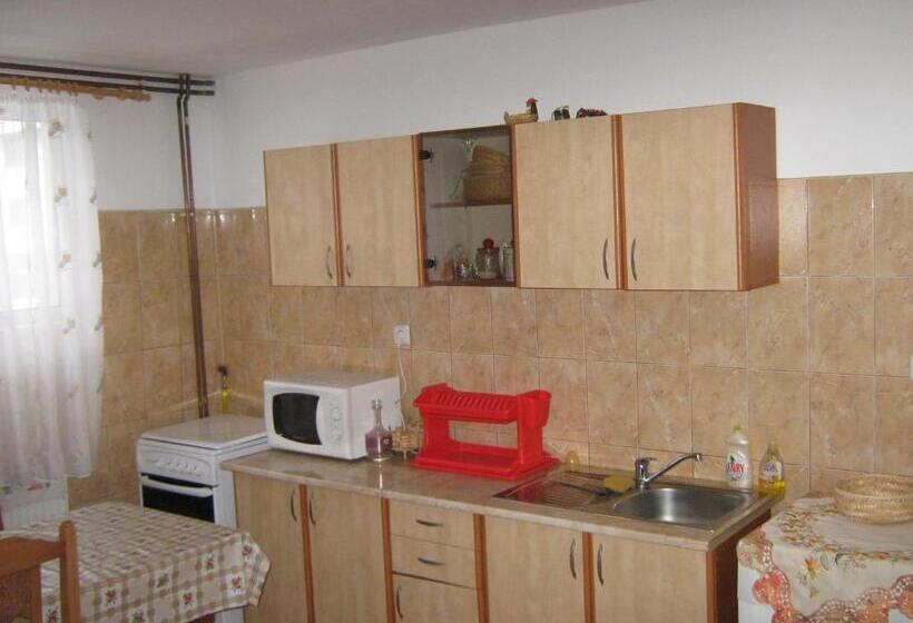 Bed and Breakfast Pensiunea Luminita