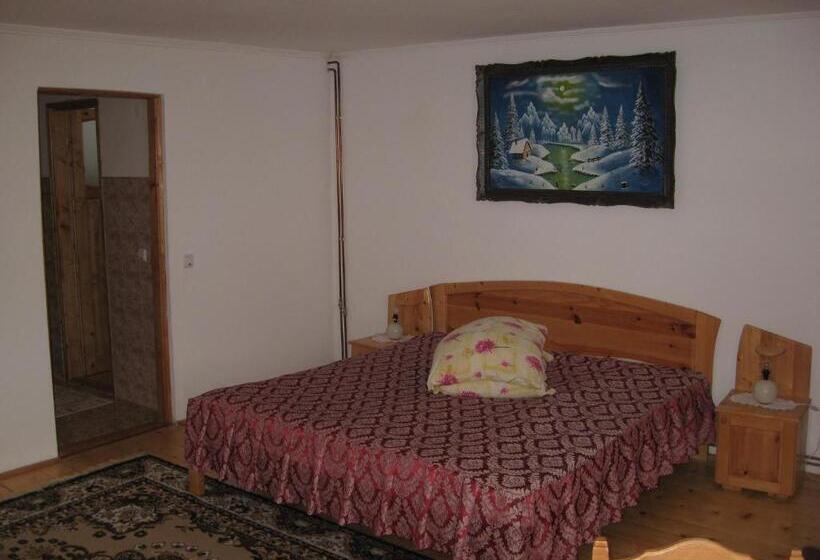 Bed and Breakfast Pensiunea Luminita