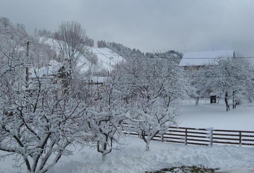 Bed and Breakfast Pensiunea Luminita