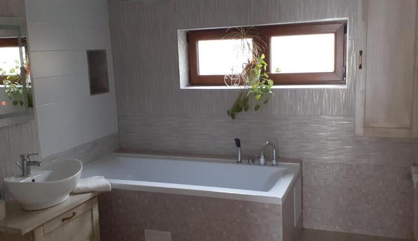 ベッドアンドブレックファースト Pensiunea Moldovan