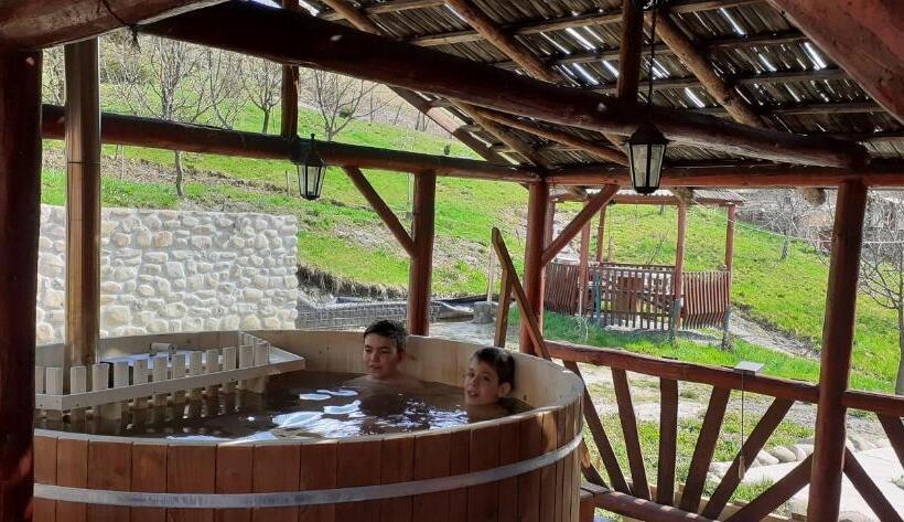 ベッドアンドブレックファースト Pensiunea Moldovan