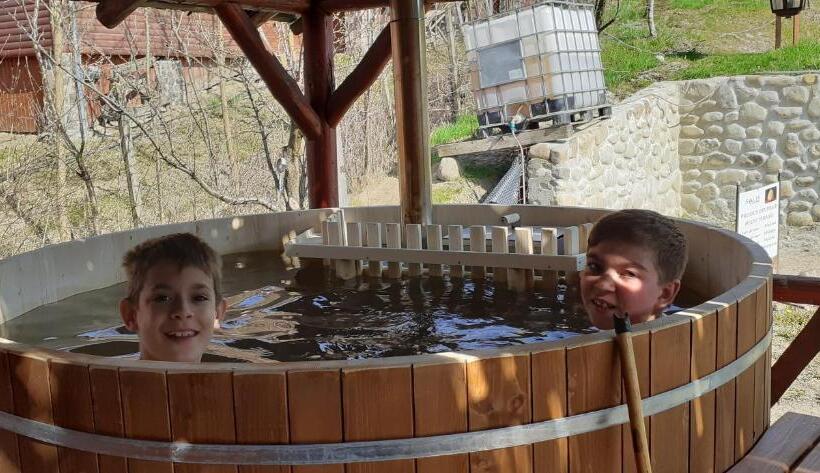 ベッドアンドブレックファースト Pensiunea Moldovan