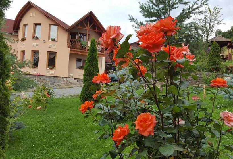 ベッドアンドブレックファースト Pensiunea Moldovan