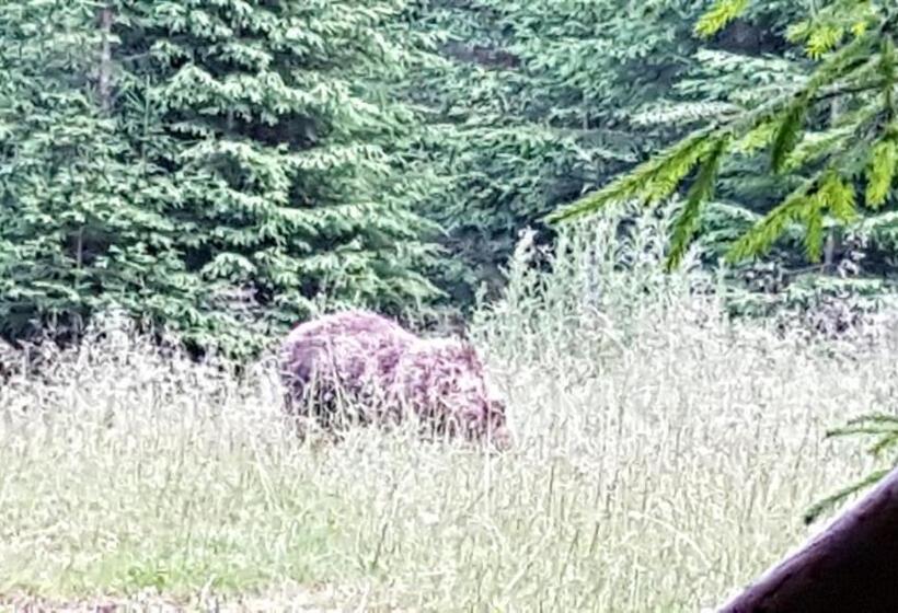 민박 Pensiunea Moldovan