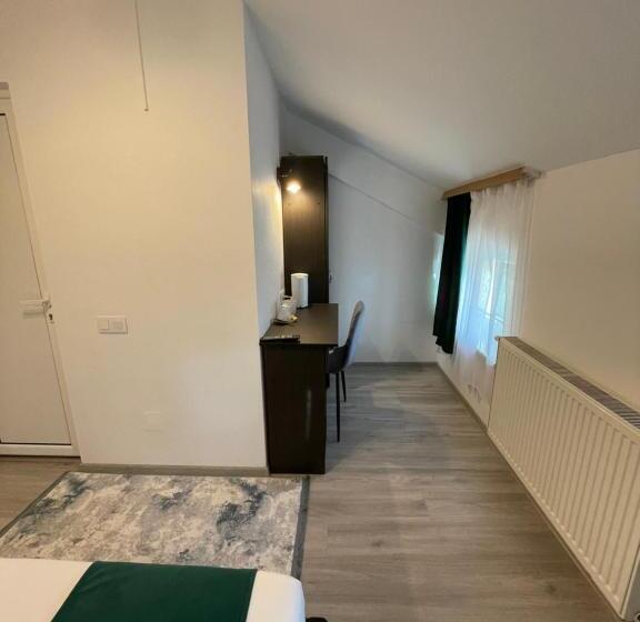 ベッドアンドブレックファースト Pensiunea Pictorilor