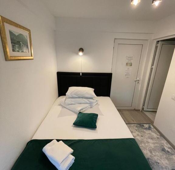 ベッドアンドブレックファースト Pensiunea Pictorilor