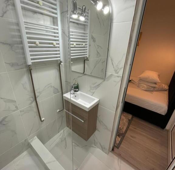 ベッドアンドブレックファースト Pensiunea Pictorilor